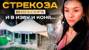 #БИЗНЕСЮГА || СТРЕКОЗА - И в избу и коня...