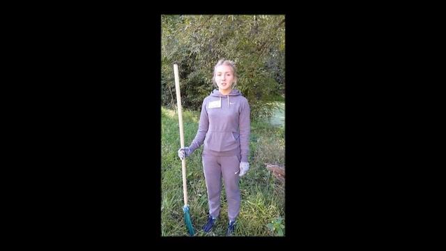 Губернский колледж - Акция "Наш лес. Посади свое дерево" смотреть онлайн