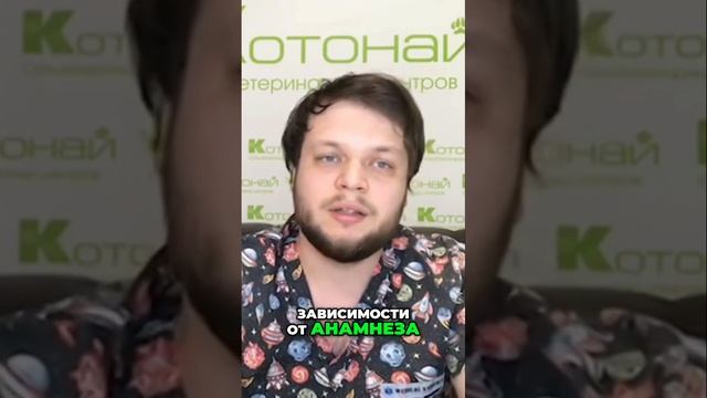 Как решить проблему диареи у животного с ветеринаром