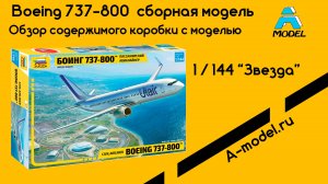 Boing 737-800 Звезда 7019