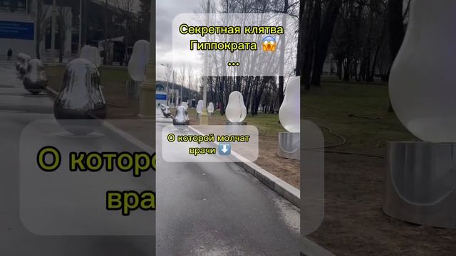 Клятва Гиппократа #германскаяноваямедицина #гнм #психосоматика