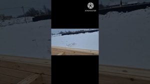 Нагель , глухарь в срубе из профилированного  бруса.