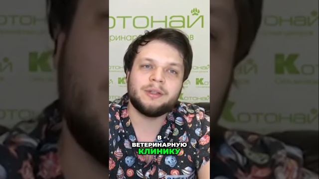 Почему не стоит откладывать визит к ветеринару_