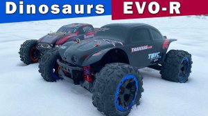 Сравнение электроники Remo Hobby Dinosaurs RH8035 и EVO-R RH8066