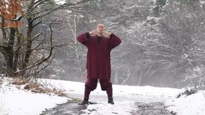 Shaolin Qi Gong  20 Minute Daily Morning Routine Ba Duan Jin (Complete Form)