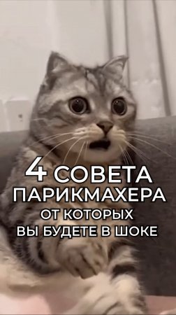 Сегодня я дам вам 4 важных совета, которые вас удивят