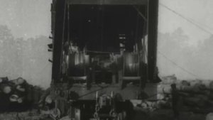 Франция. 1918 год. Заготовка леса