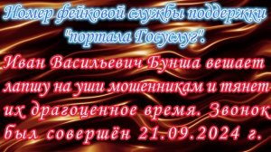 Фейковые Госуслуги. Иван Васильевич Бунша спасает Ульяну Андреевну от мошенников