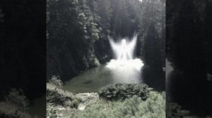 электрофорез-все было так speed up