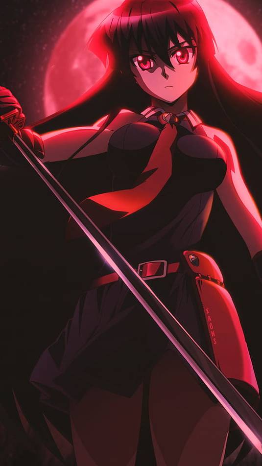 Акаме vs. палач Занк смотреть онлайн