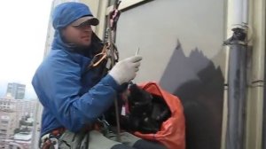 Безумный дюльфер