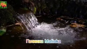 Деревенский дневник очень многодетной мамы /Наглость не знает границ /Обзор Влогов /