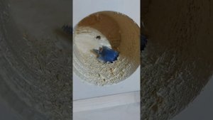 Электромонтаж в домах из клеёного бруса.