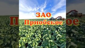 ПЕРЕЕЗД НА ПМЖ.ОЗНАКОМЛЕНИЕ-ПУТЕШЕСТВИЕ ПО НАСЕЛЕННЫМ ПУНКТАМ НОВОСИБИРСКОЙ ОБЛ. ПОСЕЛОК ПРИОБСКИЙ