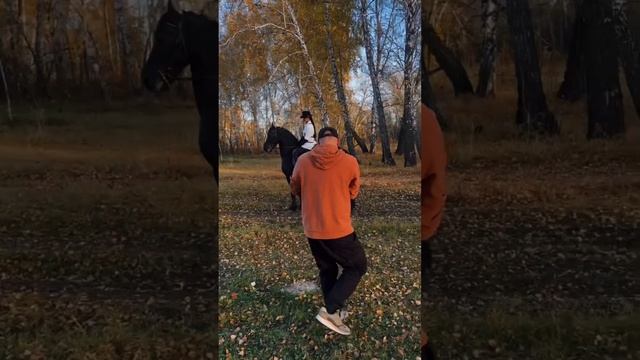 * Backstage / Бэкстейдж / фотосессия с лошадьми / фотограф из Омска Андрей Беляев