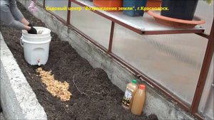 Удобрения из кухонных отходов.