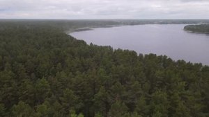 Деревня Бараново с высоты птичьего полёта