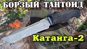 Катанга 2. Борзый тантоид.