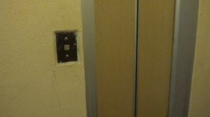 Грузопассажирский, пассажирский лифт (поселок Ватутинки), V=1 м-с, г-п 400, 630 кг (10)