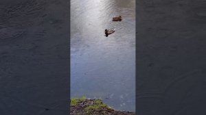 САЙТЫ ЗНАКОМСТВ.Плюсы и минусы