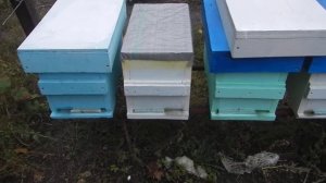 Шестирамочник из эппс  обьективно и честно 1 часть