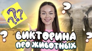 Викторина про животных// образовательные видео Valynha