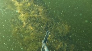 Погнали что покажу.... релакс