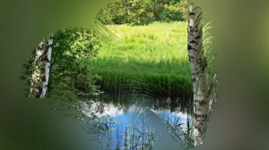 Я вернулся  туда Ф.Григорий