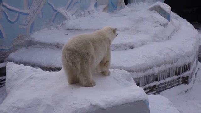 Герда на айсберге 13 02 2021 смотреть онлайн