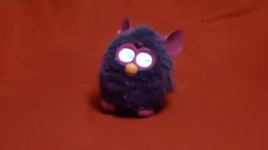 furby