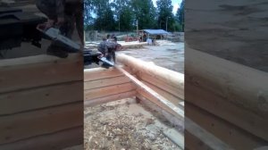 Рубка сруба в чашу с шипом(курдюк)