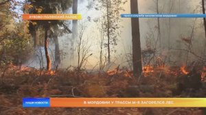 В Мордовии у трассы М-5 загорелся лес