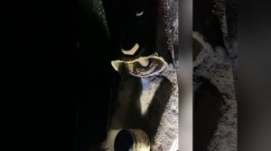 ВОССТАНАВЛИВАЕМ РЕЗЬБУ КРОНШТЕЙНА ЗАДНЕГО АМОРТИЗАТОРА НИВА 2131;21214.