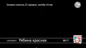 СХ420025 Рябина красная Батарея салютов 25 залпов калибром 20 мм высота 20м