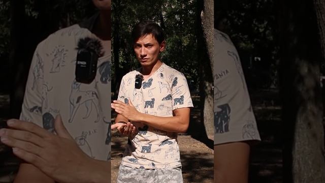 Щенок в изоляции! Руководство по карантину для новых хозяев #кинологи #кинолог #dog #прособак