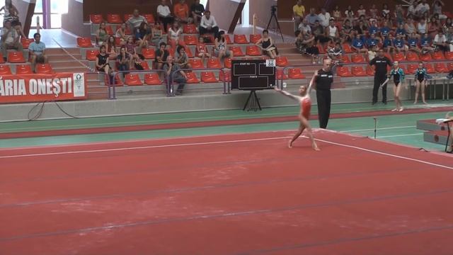 Romanian Nationals 2011 Onesti - Diana Bulimar.wmv смотреть онлайн