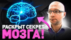 Секреты Нейропластичности. Как Переписать Свои Привычки и Обновить Мозг