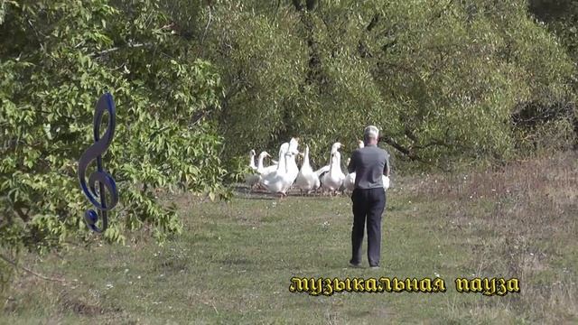 д. Жидкое