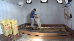 Подготавливаю место / Дети купили игрушки / Посылка от