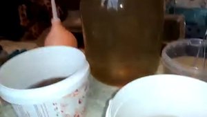 Аулофорус сбор и промывка
