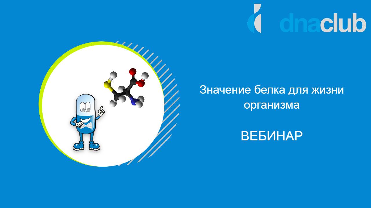 Значение белка для жизни организма