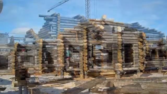Срубы из "сухарника" - высохшей на корню сосны