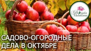 ШПАРГАЛКА САДОВО-ОГОРОДНЫХ ДЕЛ НА ОКТЯБРЬ