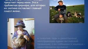 Джеймс Хэрриот - О всех созданиях прекрасных и удивительных