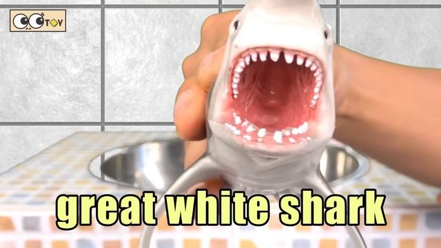 EN Sharks live under the wash basin 5 kids animals animation dinosaurs adventureㅣCoCosToy