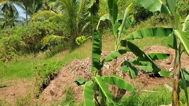 Делаем с Мумай грядки | Батя готовит материал для крыши | Отец и сын строят домик в деревне смотреть онлайн