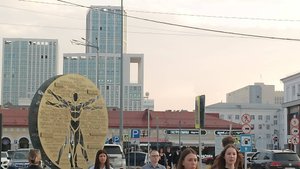 чудо РЯБИНА цветы и БАБОЧКА городские зарисовки