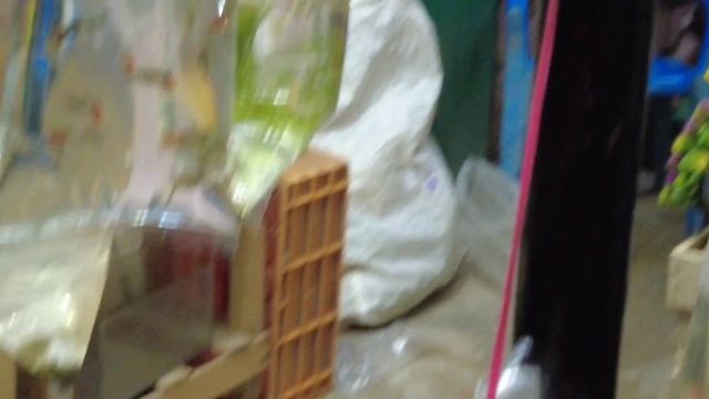 kolathur fish market | குளத்தூர் வண்ண மீன் கடைகள் #kolathur #petmarket  #aquarium #chennai #dog
