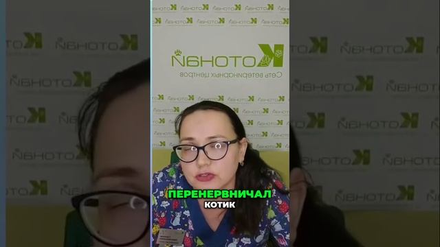 Как стресс влияет на уровень глюкозы у кошек