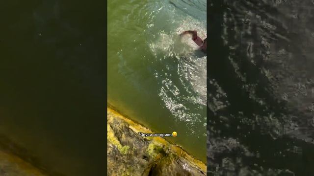 Ожидаемая концовка смотреть онлайн